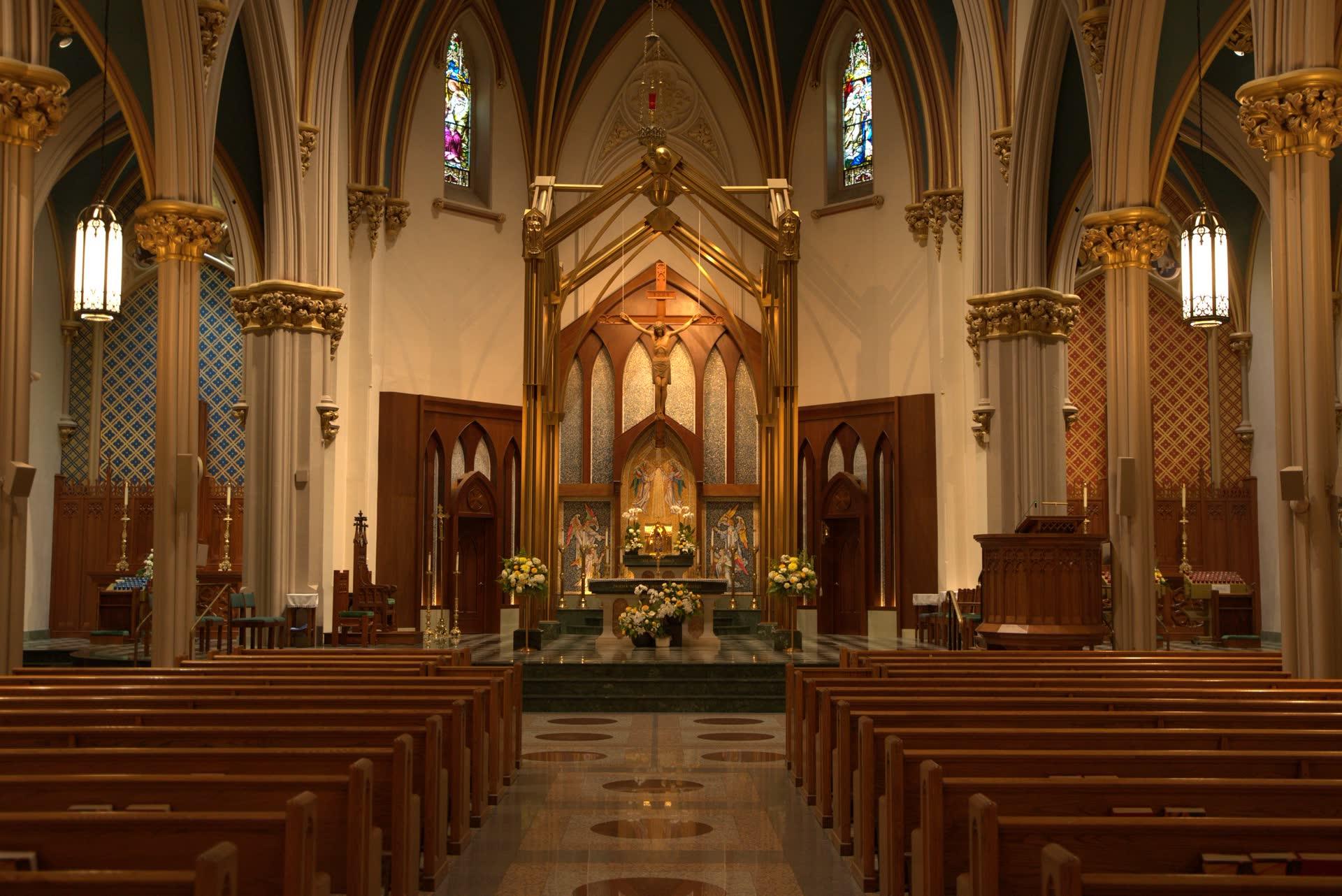 Welcome to the Kolbe Cathedral Newsroom